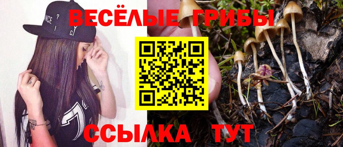 Химки  Псилоцибиновые грибы MAGIC MUSHROOMS  Вход с VPN  Псилоцибиновые грибы MAGIC MUSHROOMS 