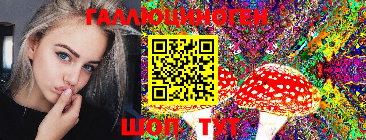 Псилоцибиновые грибы Psilocybine cubensis Химки